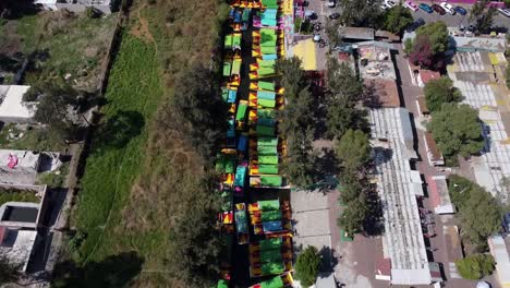 Aerial-drone-shot-of-colourful-boats-in-Xochimilco-Water-Canals-in-Trajineras-Mexico-City-during-daytime