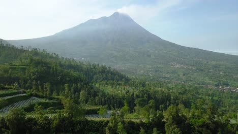 Rückwärtsflug-Der-Drohne-über-Die-Plantagen-Und-Die-Umgebung-Des-Vulkans-Merapi-In-Java,-Indonesien