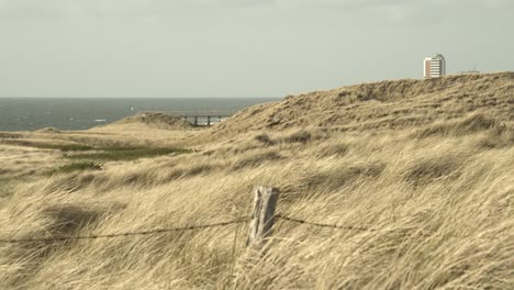 Dune-grass-moving-in-the-wind-on-Sylt-with-a-fence-in-the-foreground-4k-60fps