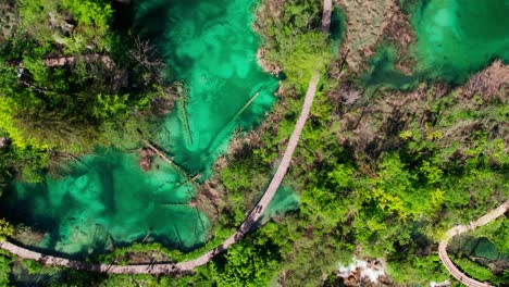 drone-reveals-Plitvice-lakes-croatia,-Nacionalni-park-travel-holiday-tourist-destination-in-wilderness-deep-nature