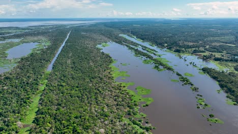 Río-Amazonas-En-La-Selva-Amazónica
