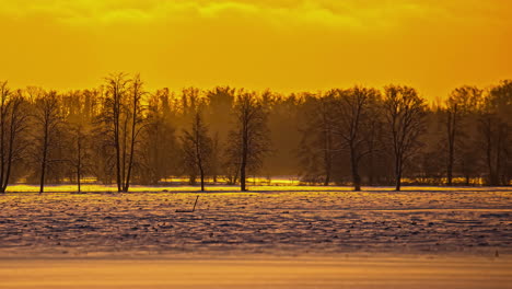 Timelapse-shot-of-golden-sky-during-evening-time-on-snow-covered-agricultural-fields