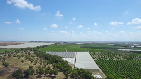 Fields-At-Sdot-Negev-Settlement's,-Israel