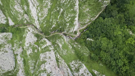 Top-down-aerial-view-of-foces-del-pino-route