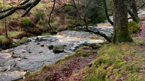 Moorland-peat-stained-river-stream-filmed-during-a-rain-storm