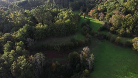 Drone-flying-above-dense-forest-and-Green-Fields