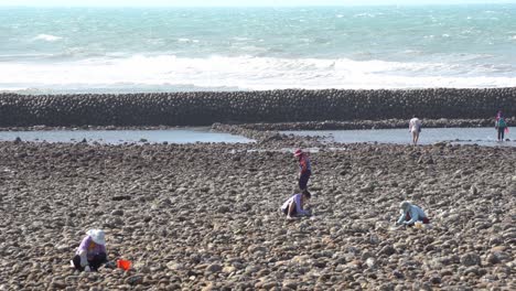 Local-people-out-digging-and-harvesting-for-fresh-and-delicious-seafood-clams-in-the-stoney-tidal-zone-with-breakwater-under-hot-sunny-day-at-Taiwan,-Asia