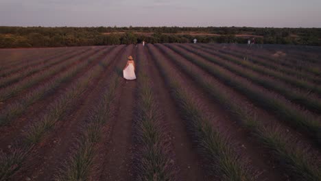 Pretty-lady-walking-in-white-dress-in-a-lavender-field-with-blooming-flowers-at-sunset