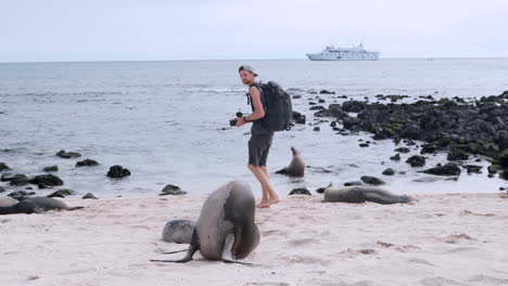 Male-Tourist-Kneeling-Wearing-Backpack-Walking-Towards-To-Galapagos-Sea-Lions-On-Playa-Punta-Beach-To-Film-Them-At-San-Cristobal-Island