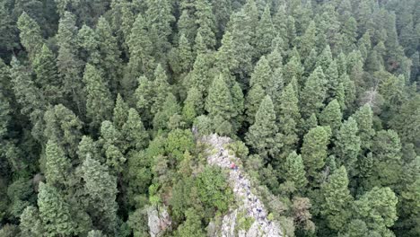 Drohnen-Rückwärtsaufnahme-Des-Dichten-Waldes,-Der-Den-Süden-Von-Mexiko-Stadt-Und-Seiner-Umgebung-Umgibt