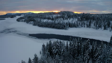 Beautiful-aerial-view-rising-above-snowy-Lapland-Sweden-winter-landscape-forest-trees-at-sunrise