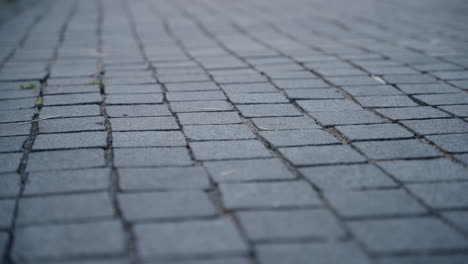 Slider-shot-of-a-brick-path