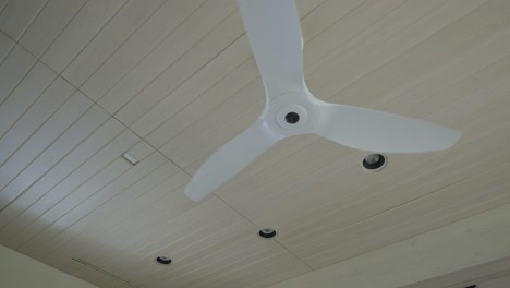 Ceiling-fan-spins-hypnotically-against-white-wood-ceiling