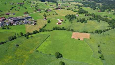 Aerial-view-of-forest-and-green-fields
