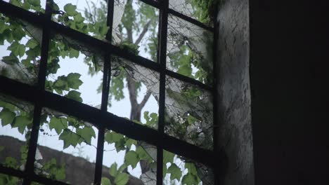 Nahaufnahme-Des-Innenraums-Eines-Zerbrochenen-Fensters-In-Einem-Verlassenen-Gebäude