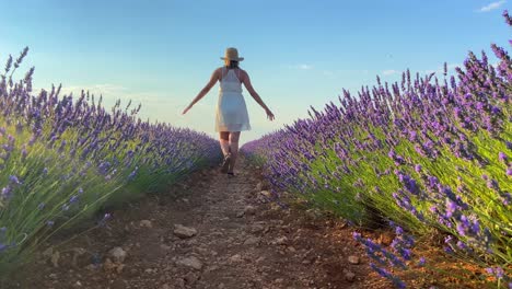 Low-angle-static-shot-of-a-young-and-free-woman-walking-with-outstretched-arms-in-a-lavender-field-of-Spain