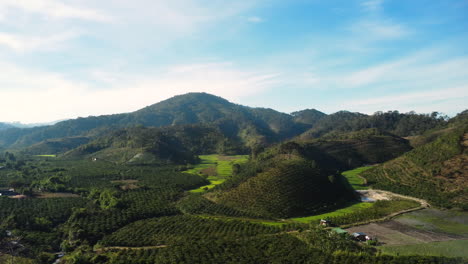 Aerial-zoom-out-revealing-the-great-hills-of-Southeast-Asia-where-coffee-is-cultivated