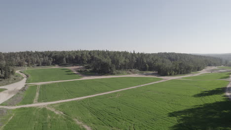 Drone-flies-over-a-green-wheat-field-In-the-center-of-a-large-forest-to-above-forest-tree-line---PUSH-IN-SHOT