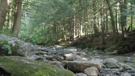 Mossy-rocks-along-mountain-brook-with-pan-right-2