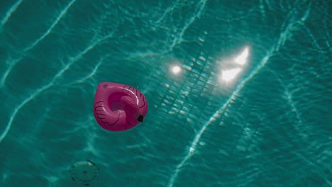Inflatable-pink-flamingo-is-floating-in-the-pool,-crystal-clear-water-with-sun-reflection-on-it