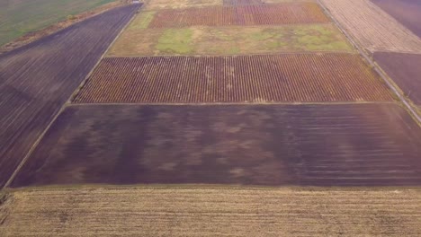 Flying-forwards-over-differently-textured-and-colored-fields