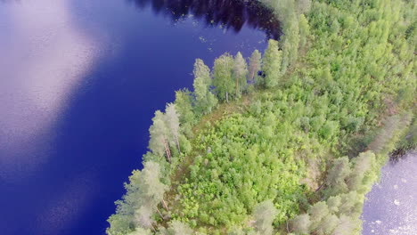 Video-De-Drones-De-Un-área-De-Tala-Dentro-De-Un-Cabo-En-Un-Lago-Forestal