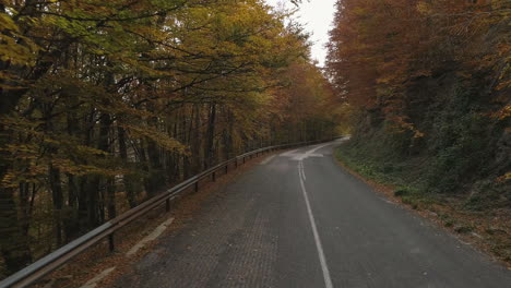 Aerial:-old-deserted-road-in-the-middle-of-the-thick-autumnal-colored-woods