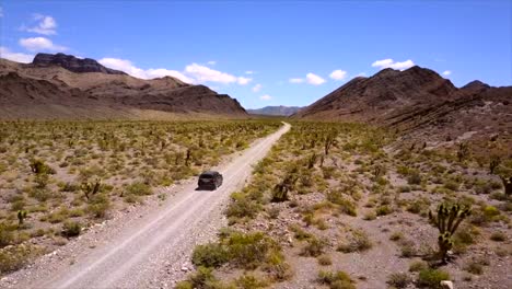 Car-driving-down-desert-trail-in-Nevada-2