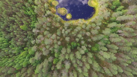 Atemberaubendes-Drohnenvideo-Eines-Kleinen-Waldteichs-In-Der-Finnischen-Wildnis