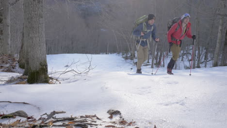 Zwei-Männer-Wandern-Im-Winter-Mit-Trekkingstöcken-Einen-Steilen,-Verschneiten-Hang-Im-Wald-Hinauf,-Zeitlupe