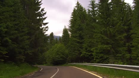 Driving-on-a-winding-road-surrounded-by-a-green-forest-with-tall-trees,-Bucegi-mountains,-Romania---dolly-forward