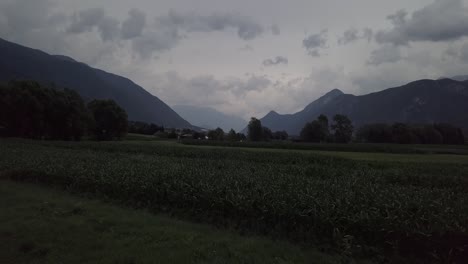 Luftaufnahme-Eines-Landwirtschaftlichen-Feldes-In-Levico-Terme,-Italien,-Mit-Nach-Oben-Geneigter-Kamera,-Während-Die-Drohne-Vorwärts-Fliegt