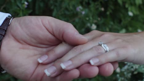 Rack-focus-to-a-close-up-of-bride-and-groom-holding-hands-against-a-green-garden-background