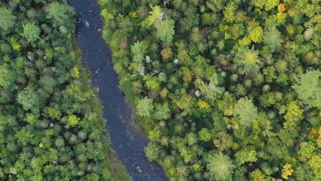 Aerial-footage-flying-low-above-a-river-in-the-morning-TOP-DOWN
