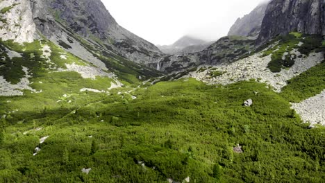 Luftaufnahme:-Enthüllung-Zweier-Nebliger-Berge-In-Der-Nähe-Eines-Kiefernwaldes