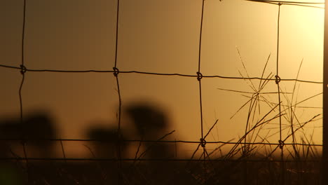 Silhouette-farm-land-wire-fence-for-a-cow-pasture