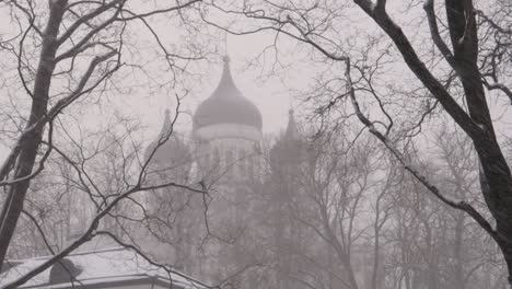 Tallinn-under-heavy-snowstorm-during-winter-with-othrodox-church-in-the-distance-and-trees-in-foreground