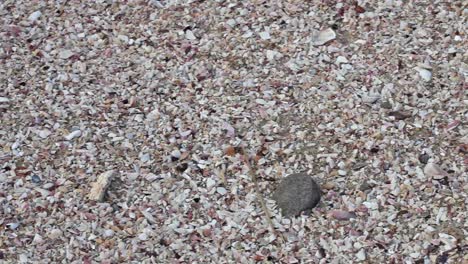 A-right-to-left-pan-of-beach-sand-and-crushed-seashells
