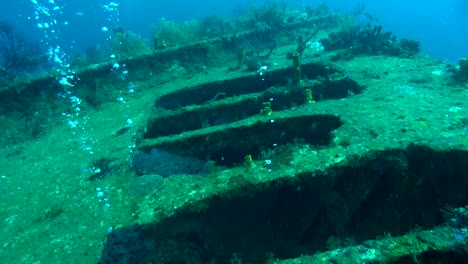 The-bow-of-the-deep-Bianca-C-shipwreck