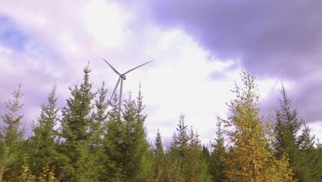 Wind-turbines-filmed-from-car-window-in-a-remote-forest-road