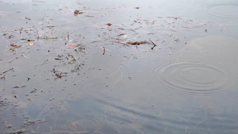 Regentropfen,-Die-In-Zeitlupe-Wellen-Auf-Dem-Wasser-Erzeugen
