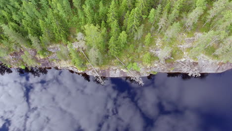Mesmerizing-drone-shot-of-the-shoreline-of-a-remote-forest-lake-in-the-boreal-wilderness