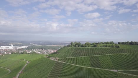 Aerial-footage-flying-towards-a-small-hill,-called-Scheuerberg,-which-slopes-are-used-for-the-cultivation-of-grapes,-located-in-Neckarsulm,-Germany