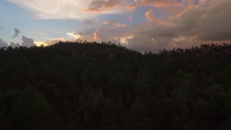 Luftaufnahme-Des-Waldes-Des-Basaseachi-Nationalparks-Bei-Sonnenuntergang-Im-Candamena-Canyon,-Chihuahua