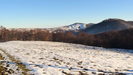 Frontaufnahmen-Zum-Wald-In-Den-Karpaten-Aus-Rumänien-In-Der-Wintersaison