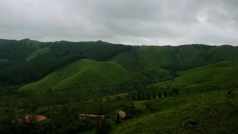 Pan-Camera-Reveal-shot-of-a-Tea-plantation-from-Right-to-left-from-the-top-in-Vagamon,-Kerala,-India