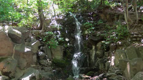 The-view-of-the-little-waterfall-in-Shiba-park