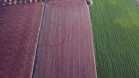 Luftaufnahme-über-Einige-Geteilte-Feldfrüchte-Im-Süden-Spaniens