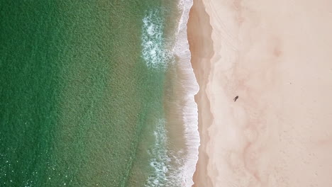 Disparo-De-Drones-Sobre-La-Cabeza-De-Dos-Personas-En-Una-Playa-De-Arena-Blanca-Con-Olas-Rodando,-Tasmania,-Australia