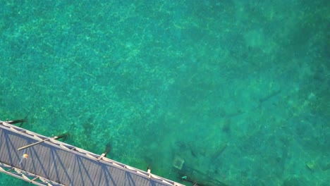 Aerial-flight-over-crystal-clear-turquoise-ocean-and-bridge-in-Mabul,-Malaysia